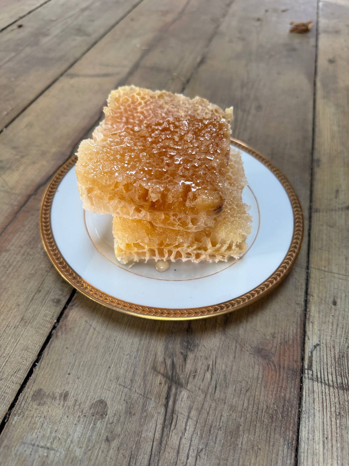Comb honey — Orange blossom (2026)